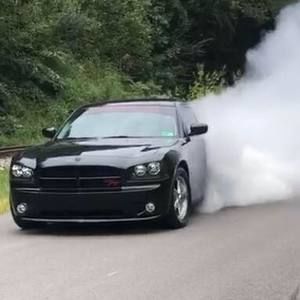 Meet your Posher, Rose n brett